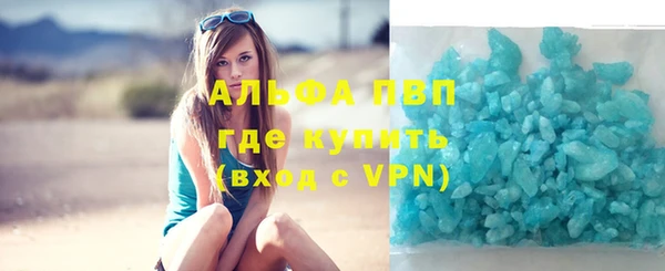ГАЛЛЮЦИНОГЕННЫЕ ГРИБЫ Козловка