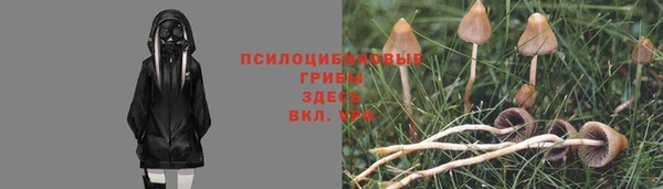 кокс Алексеевка